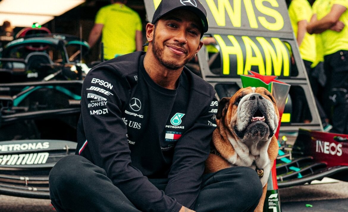 Hamilton não comparece ao desfile da Ferrari em Milão para passar tempo com Roscoe.