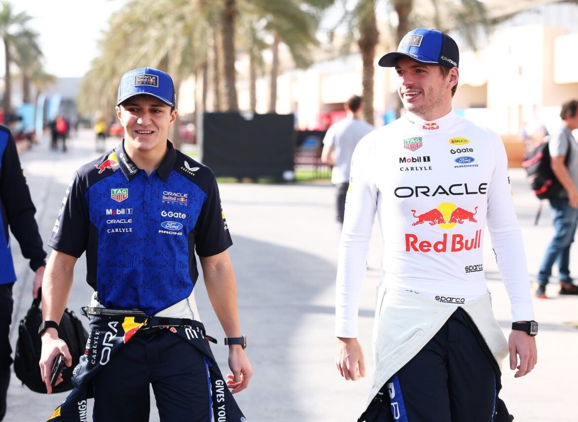 Hadjar destaca a vantagem crucial de Verstappen na Red Bull.